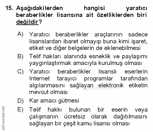 Soru 15