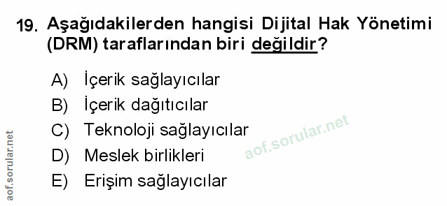 Soru 19