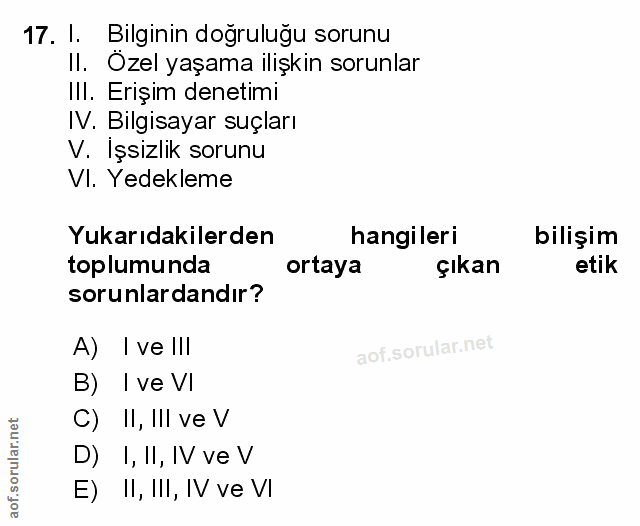 Soru 17
