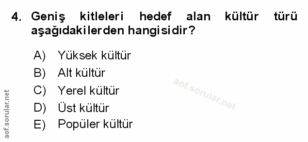 Soru 4
