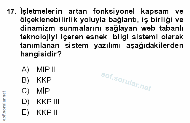 Soru 17