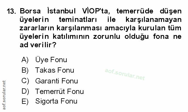 Soru 13