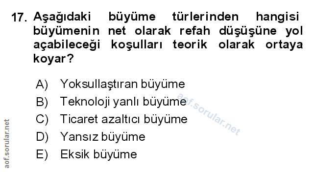 Soru 17