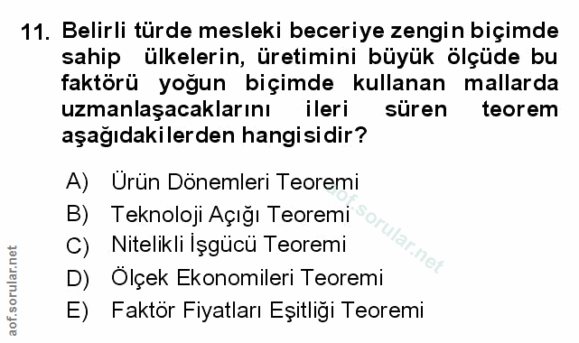 Soru 11
