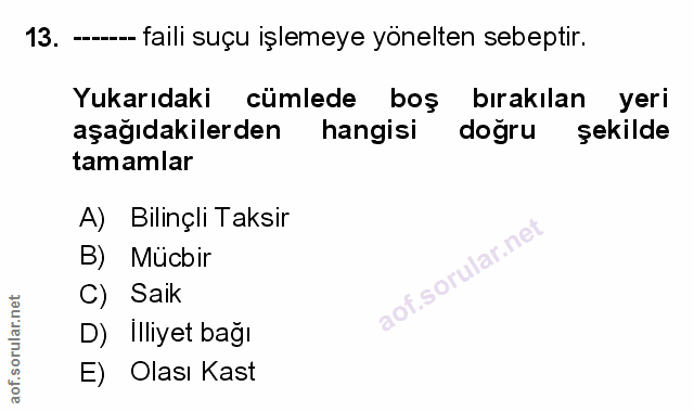 Soru 13