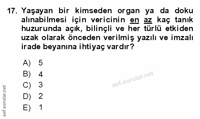 Soru 17