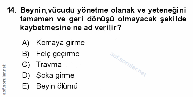 Soru 14