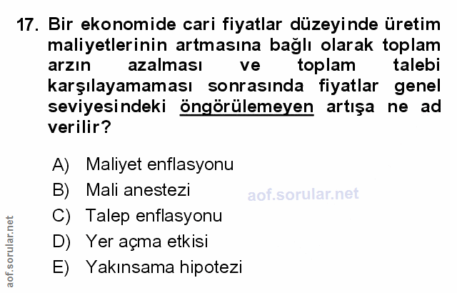Soru 17