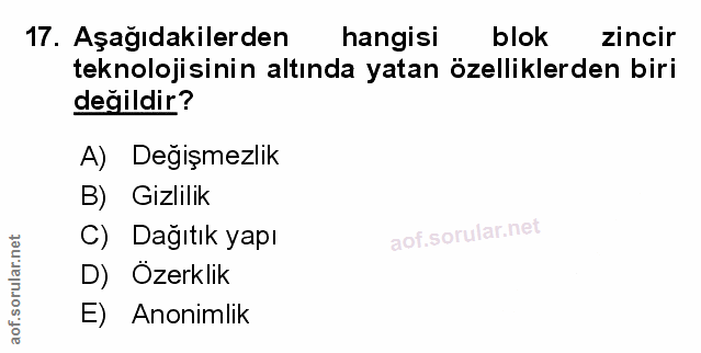 Soru 17