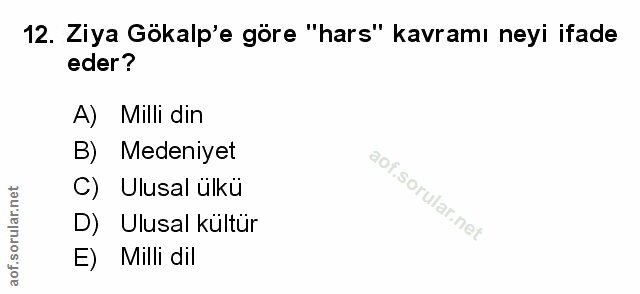 Soru 12