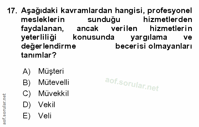 Soru 17
