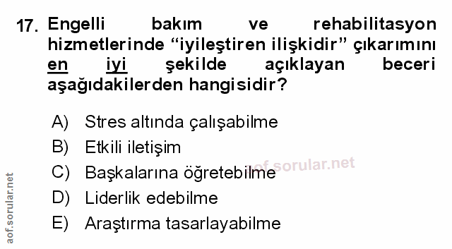 Soru 17