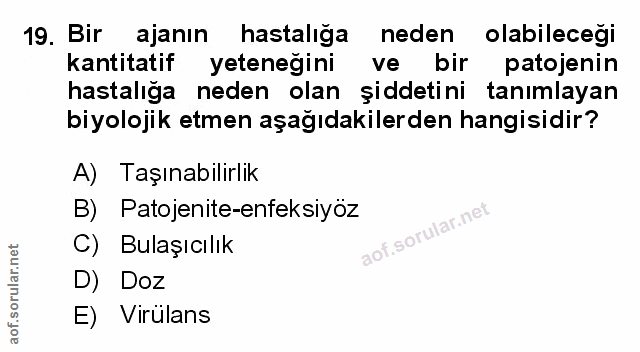 Soru 19