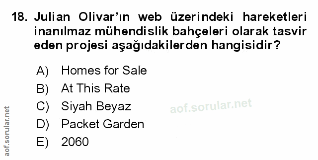 Soru 18