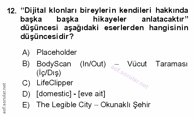 Soru 12