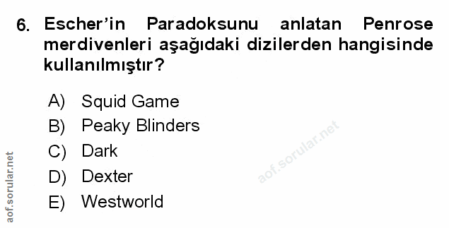 Soru 6