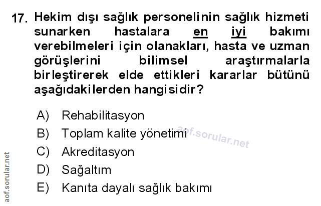 Soru 17