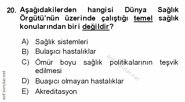 Soru 20
