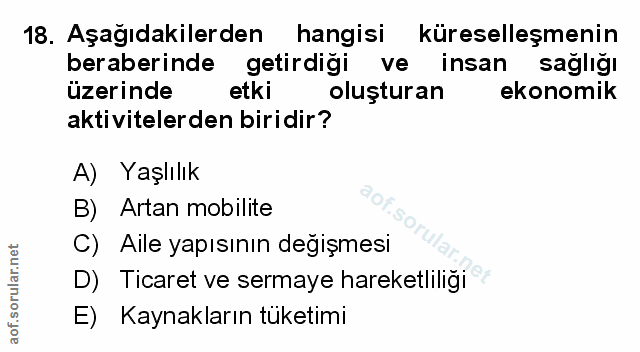 Soru 18