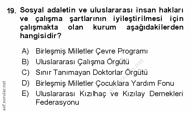 Soru 19