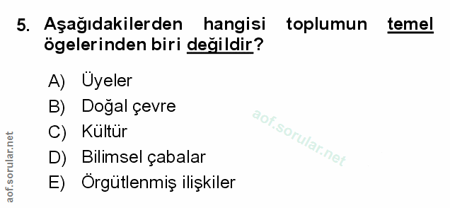 Soru 5