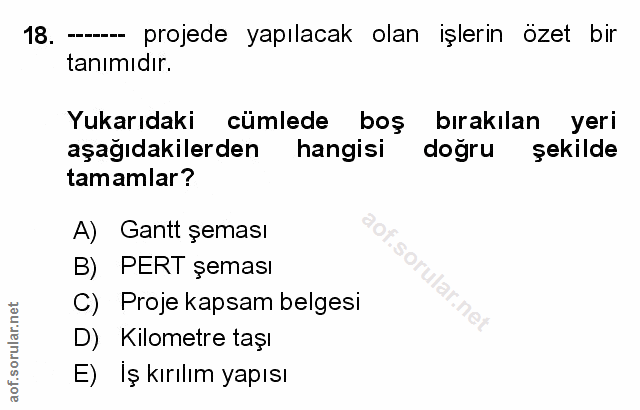 Soru 18