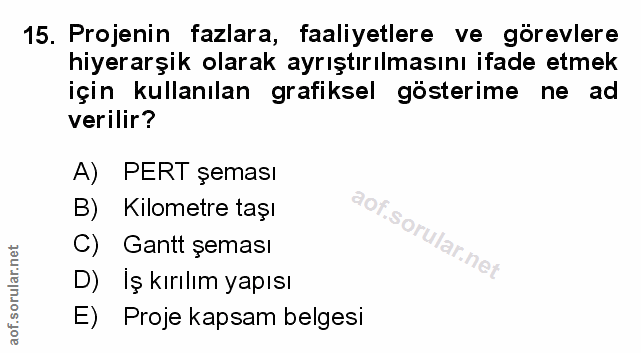 Soru 15