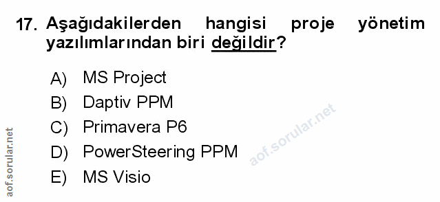 Soru 17