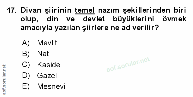 Soru 17