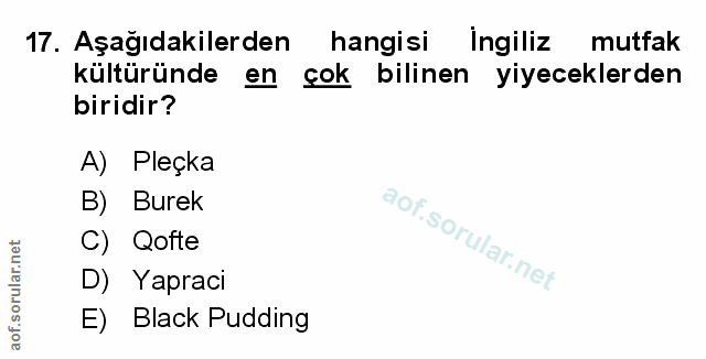 Soru 17