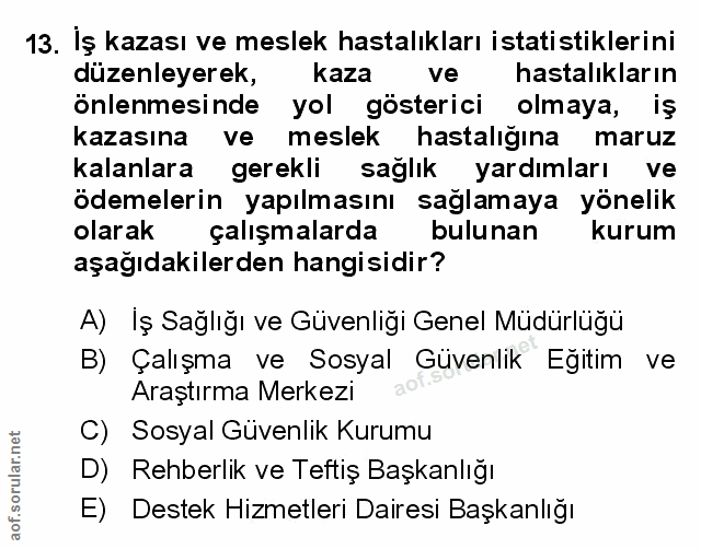 Soru 13