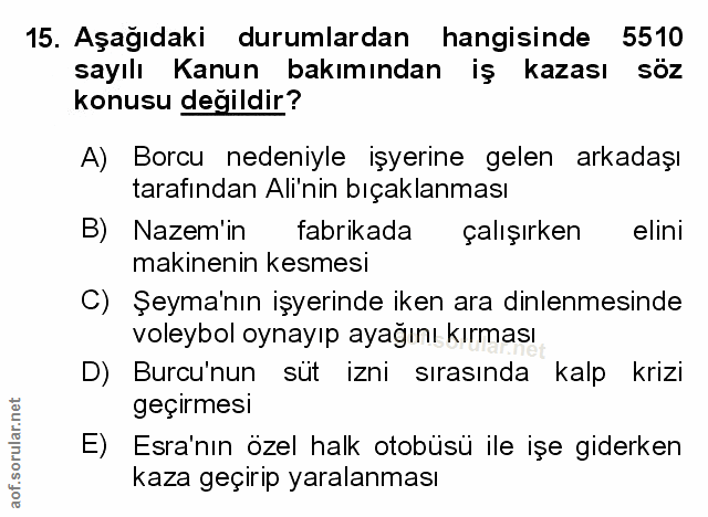 Soru 15