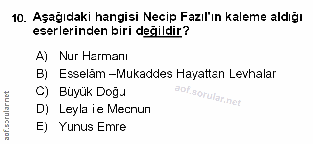 Soru 10