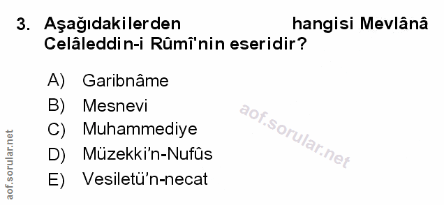 Soru 3
