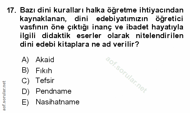 Soru 17