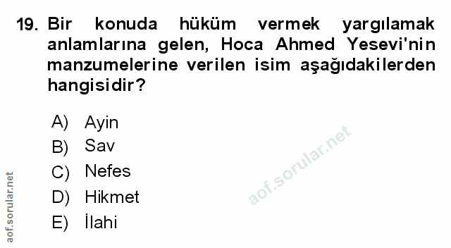 Soru 19