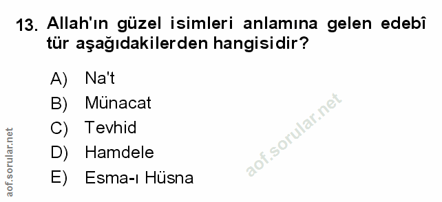 Soru 13