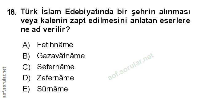 Soru 18