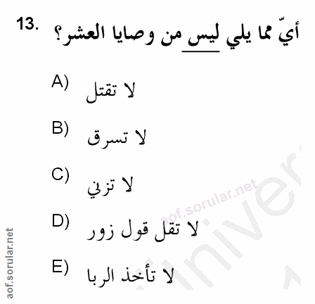 Soru 13