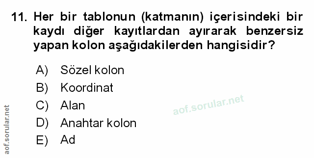 Soru 11