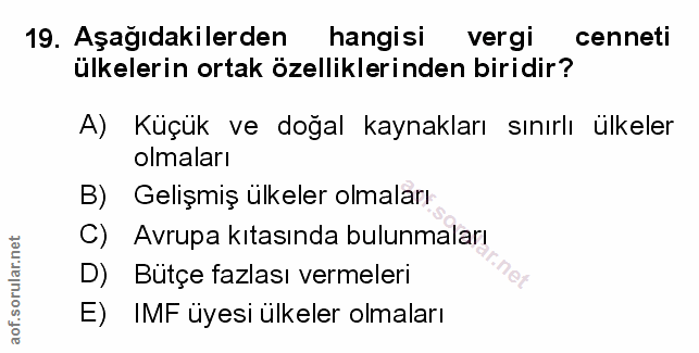 Soru 19