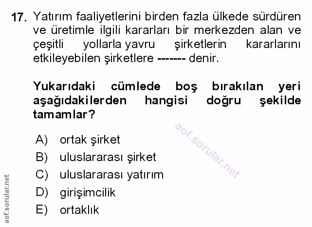 Soru 17