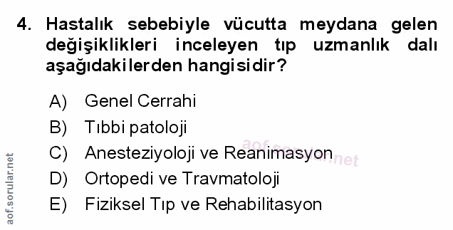 Soru 4