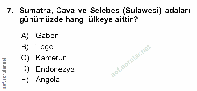 Soru 7
