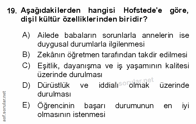 Soru 19