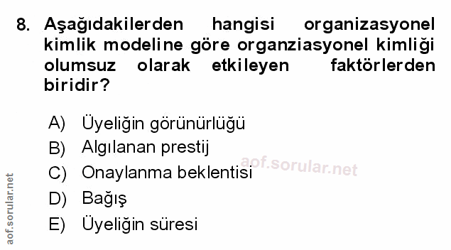 Soru 8