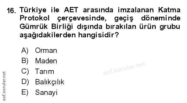Soru 16