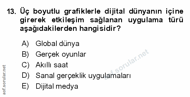 Soru 13