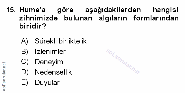 Soru 15