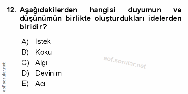Soru 12
